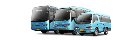 Charter Bus Bluebird