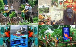 liburan anak ke bali