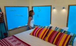hotel pulau pemba