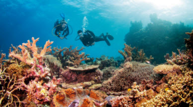 Menjelajahi Keindahan Bawah Laut Great Barrier Reef