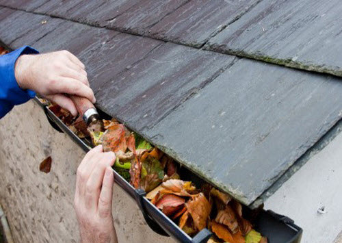 Membersihkan Talang Air Membersihkan Talang Air