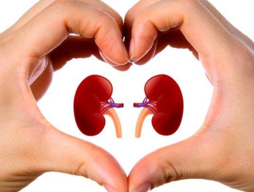 kesehatan ginjal