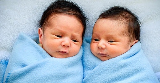 bayi kembar bayi kembar