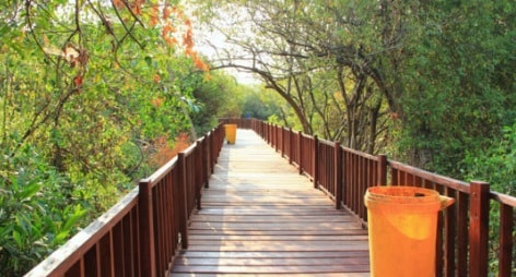 Taman Wisata Alam Mangrove Taman Wisata Alam Mangrove