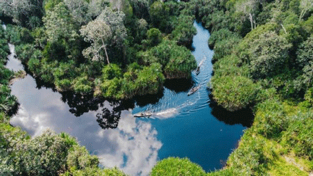 Restorasi Ekosistem Riau (RER), Ini 4 Pendekatan yang Diterapkan Royal Golden Eagle Restorasi Ekosistem Riau (RER), Ini 4 Pendekatan yang Diterapkan Royal Golden Eagle